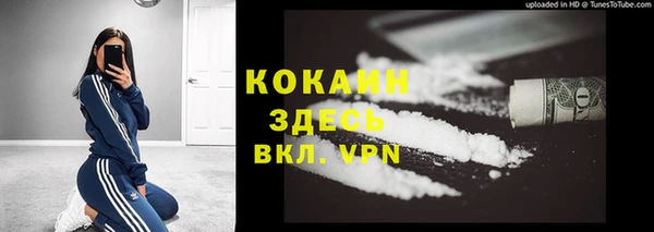 гидра Радужный