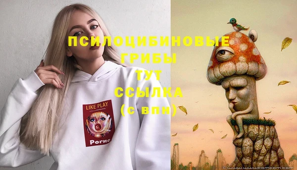 гашиш Новозыбков