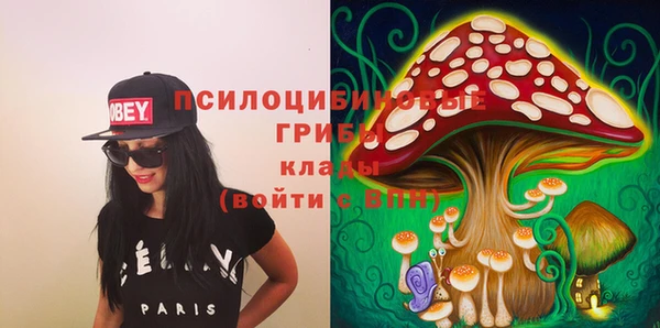 герыч Новодвинск