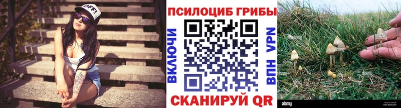 Галлюциногенные грибы Cubensis  Сорочинск 