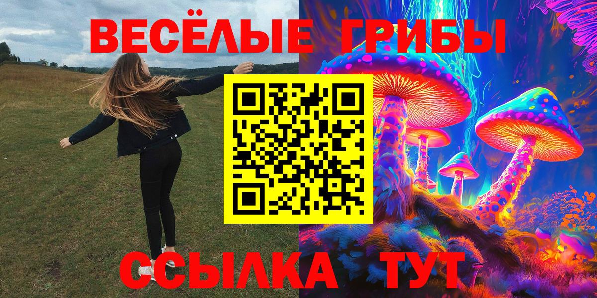 Сорочинск  Псилоцибиновые грибы ЛСД  Вход с VPN 